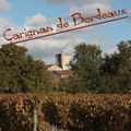 20121111 Carignan de Bordeaux