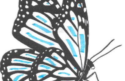 Extrait - La magie du papillon
