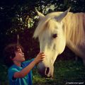 Le petit prince et son cheval blanc