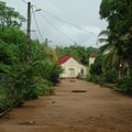 Guyane - Marais de Kaw