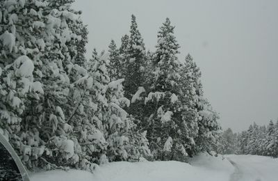 un hiver tout en contraste 