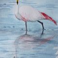 Flamingo : Edith Supiot