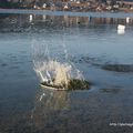 Et plouf dans l'eau !!!