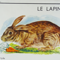 Collection ... Affiche scolaire LE CHEVAL / LE LAPIN 