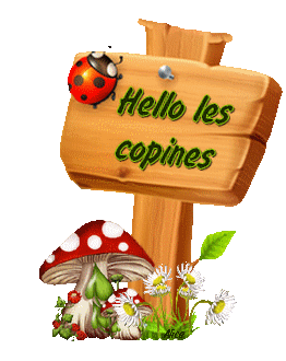 Pour me contacter...