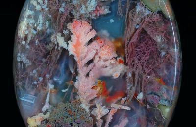 Plume Agate