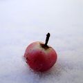 Pomme glacée