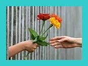 Nouvelle participation !