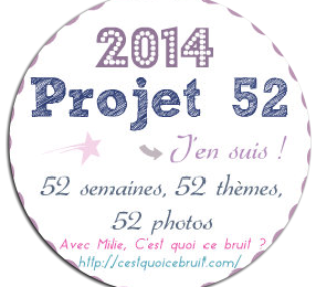 Projet 52 semaine 39 Automne