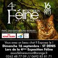 expo féline du  Septembre, à ne pas rater !