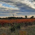 Couleurs d'automne qui rythment mes balades...