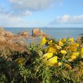 Entre Ploumanac'h et Perros-Guirec le 29 décembre 2013