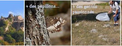 Sortie Papillons ^^