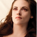 Trailer de Breaking Dawn Part 2