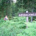 Holzwald, Absbachweg, Moorweg, les sentiers du bonheur
