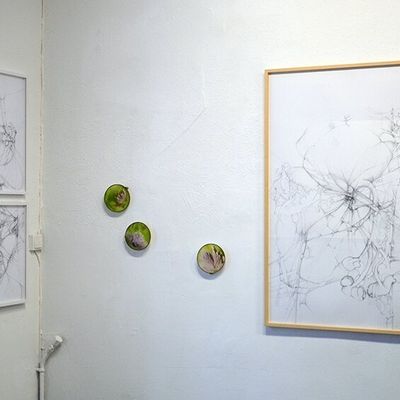 Archipels, exposition Marie Compagnon et Iris Gallarotti