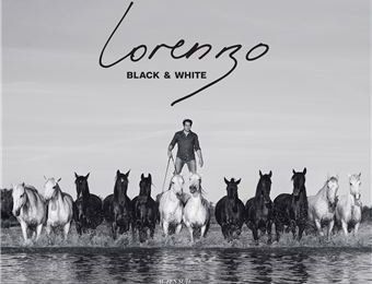  Lorenzo, Black & white : un beau livre sur le parcours d'un jeune cavalier artiste