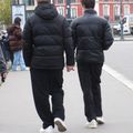Choses vues à Rennes entre le 10 et le 16 novembre 2024 (1)