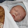 Un nouveau Bébé est arrivé...