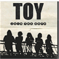 New band on the Dark Side : TOY