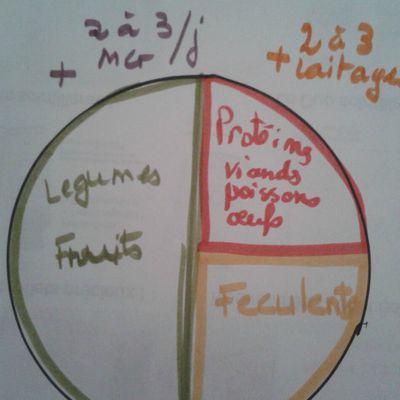 Equilibre alimentaire