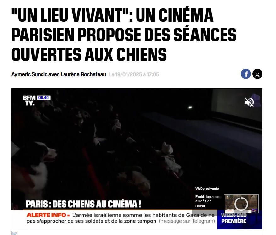 Siensiens au cinéma