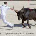 Course à l’Avenir à Saint-Rémy de Provence