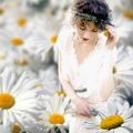 Cueillons la marguerite