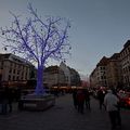 L'arbre bleu du marché de Noël