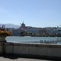 Un ptit tour à Genève et son jardin botanique