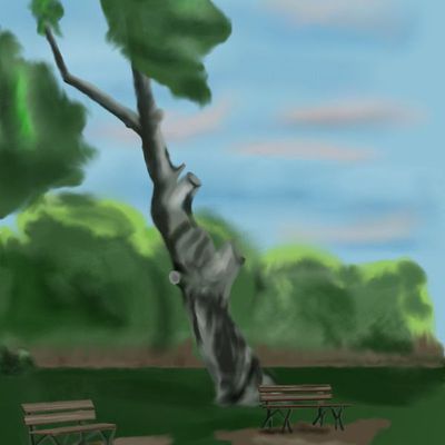 paysage 3 bancs public