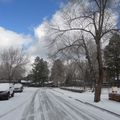 Flagstaff- Winter