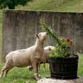 Cela change de manger par terre...