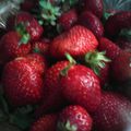 Les mercredis gourmands à la fraise 