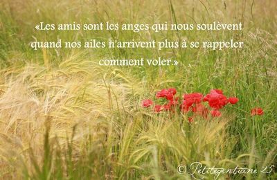 Une journée très précieuse ...