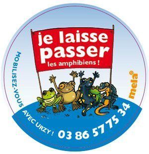 Laissez-les passer ...les amphibiens