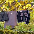 Mon Arlequin(e) d'Automne