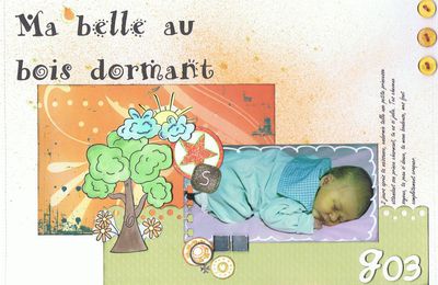 SeK: Ma belle au bois dormant