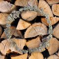 DIY déco : ma couronne minimaliste en lichen pour fêter l'automne