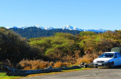 Peak Viewpoint, Lac Matheson et Fox Glacier.