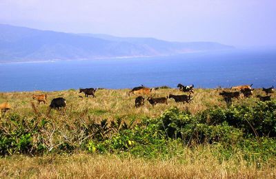 Kenting, South of Taiwan