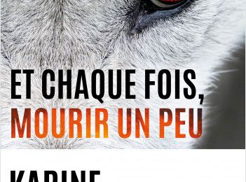 Et chaque fois, mourir un peu - Livre 1 : Blast, Karine Giebel:  que vaut le nouveau roman de la reine du thriller