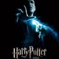 La franchise Potter à l'écran : plutôt un bon cru...