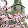 Avesnois : Printemps à Dompierre