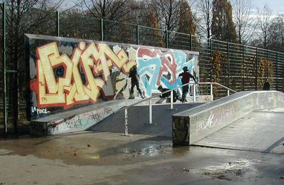 Skatepark de Paris Bercy – Descriptif (suite)