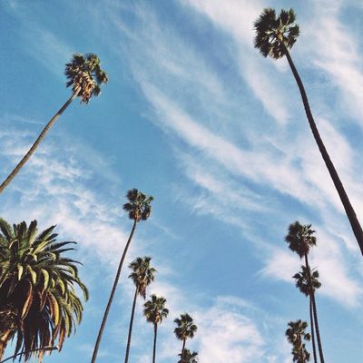 California, my love .