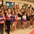 GYMNASTIQUE : LES JEUNES HIRSONNAIS PRENNENT DES COULEURS.