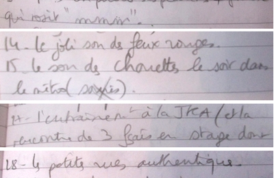 🌸 Extraits de mon carnet de voyage