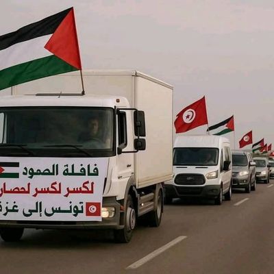 !!Génocide à Gaza: J 618!! Dans un chaos qui s'amplifie suite aux agressions sionistes contre l'Iran, la Marche mondiale vers Gaza continue