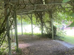 De la nature avant tout